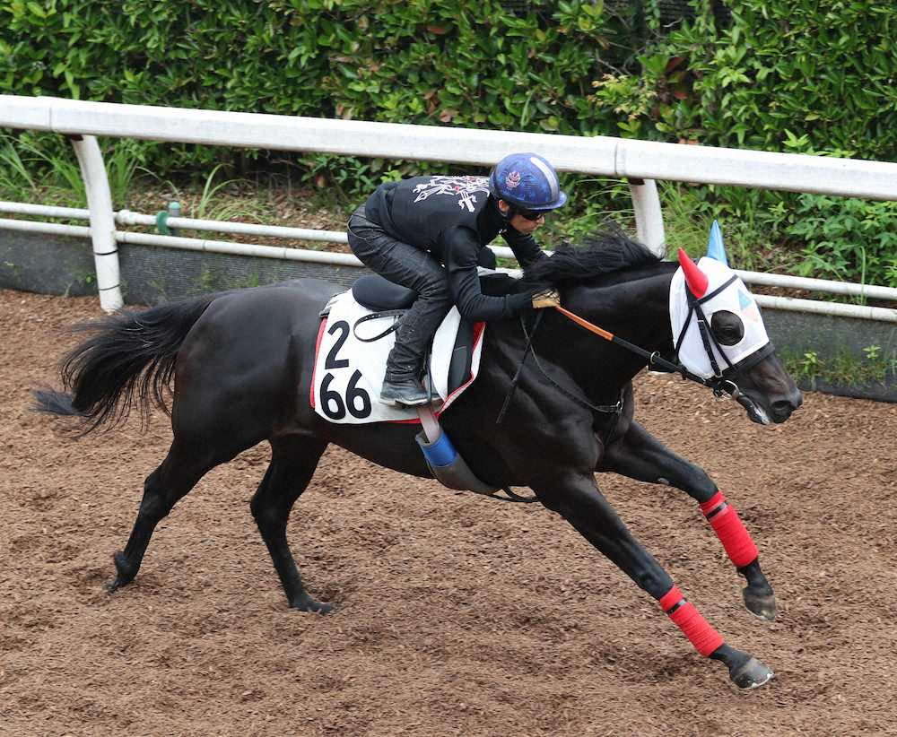 【プロキオンS】ウインムート　川田背に好調キープ