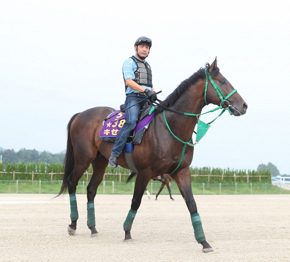 【仏・フォワ賞】キセキ3着　良馬場4頭立てハナに立つも…