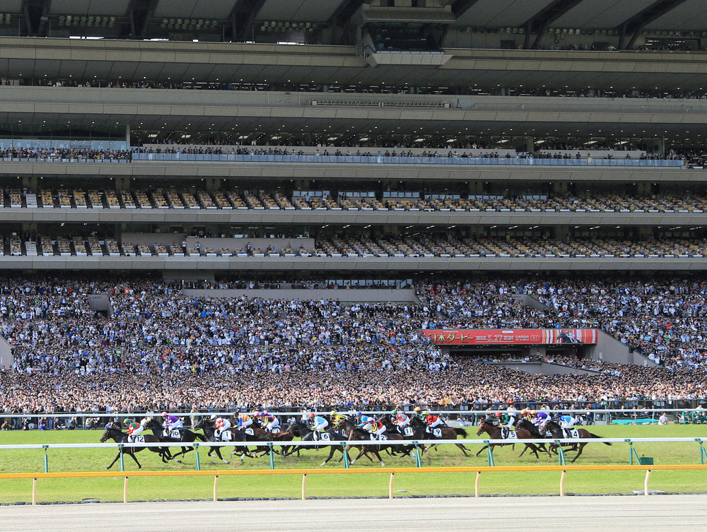 東京競馬は土日とも中止　JRAが発表