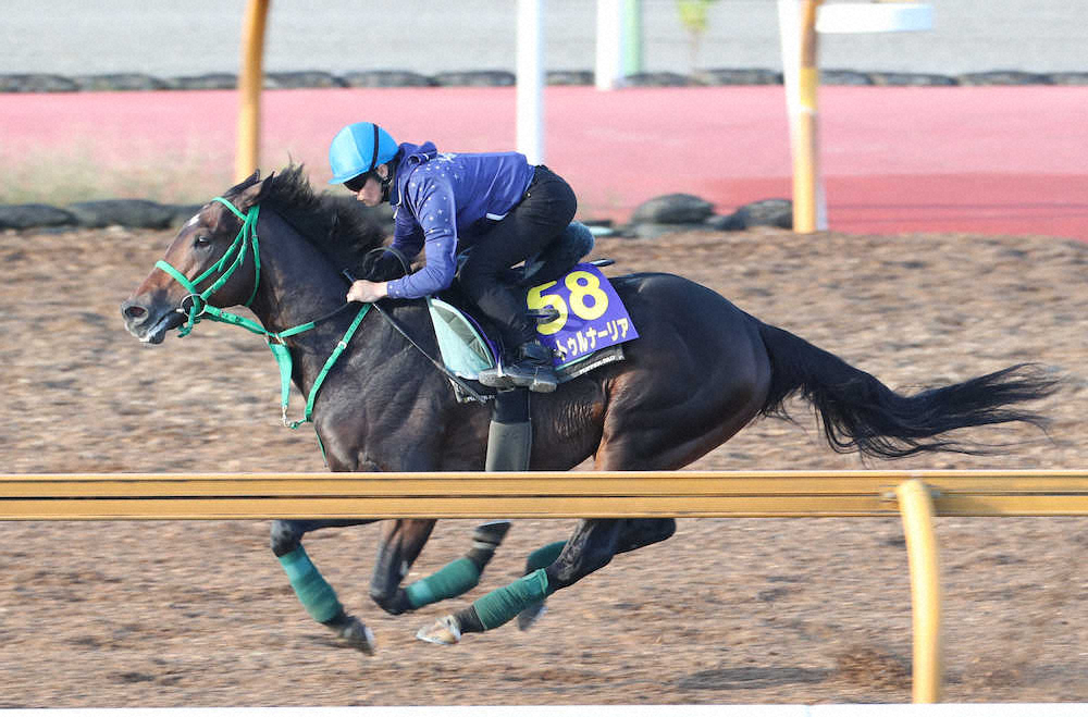 【天皇賞・秋1週前追い】サートゥル合格点12秒0　ほぼ馬なりで好時計