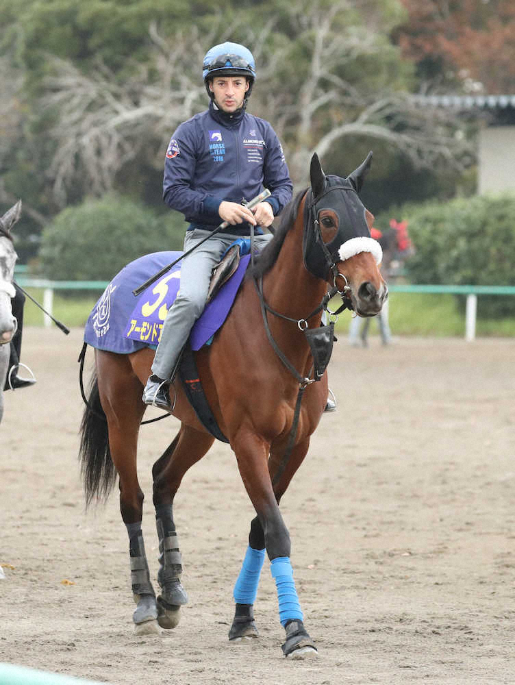 【天皇賞・秋】アーモンドアイ　9年ぶり牝馬制覇へ視界良好