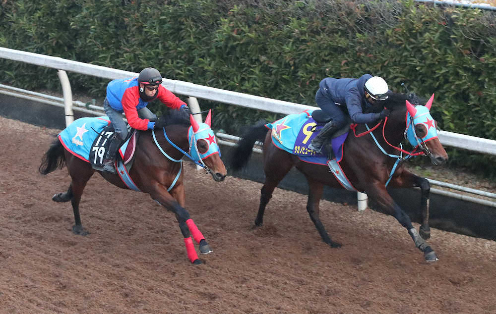 和田竜二騎手を背に坂路で併せ馬で追い切るタガノビューティー（右）