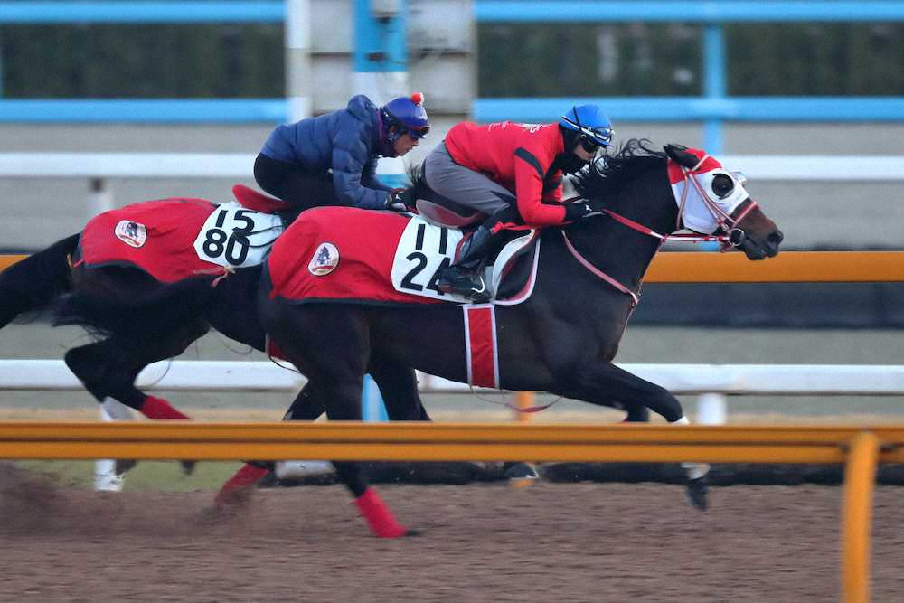 【日経新春杯】充電ばっちり!トレイル“いいね”首差先着1F12秒4