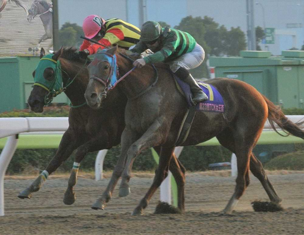 【大井・TCK女王盃】マドラス重賞初制覇！森が叩き合い制した