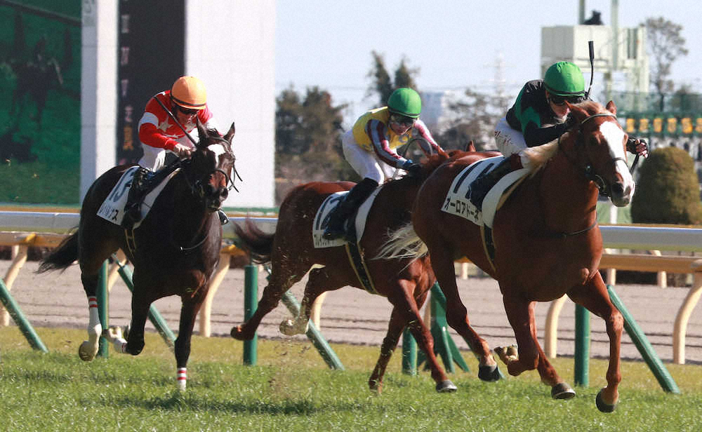 【東京新馬戦】オーロアドーネ鋭伸V!マーフィー「乗った瞬間からいい馬だと思った」