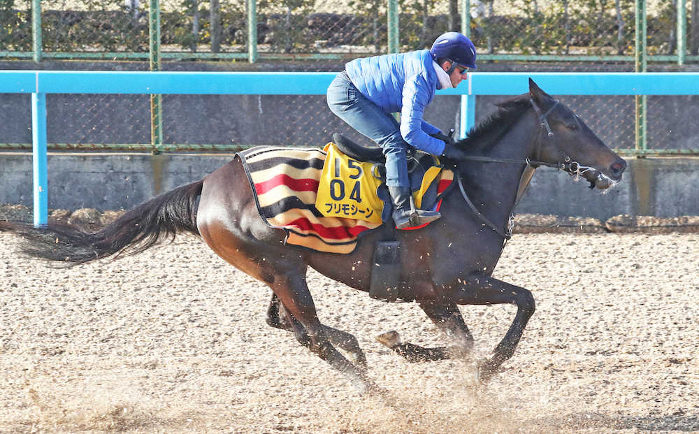 【東京新聞杯】プリモシーン剛脚、1馬身先着！ミルコ「イメージ通り」