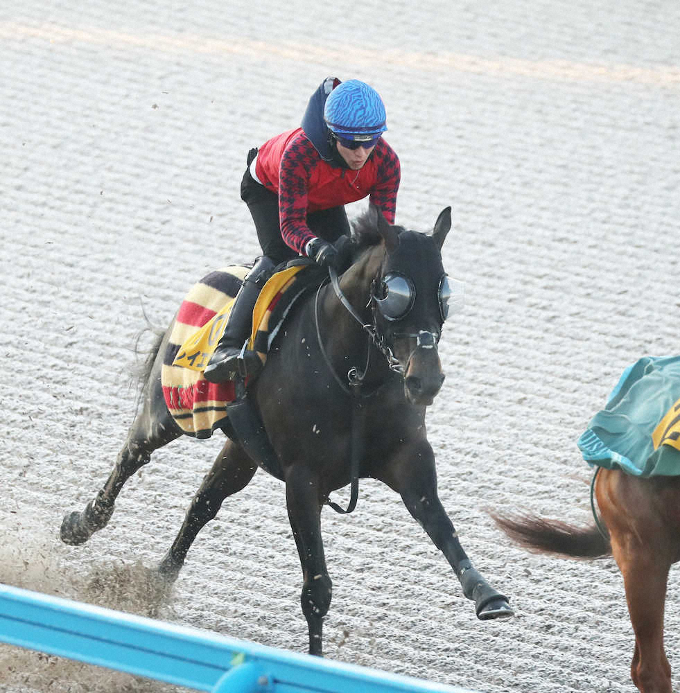 【東京新聞杯】レイエンダ、4馬身差詰める　藤沢和師「体つきがたくましくなった」