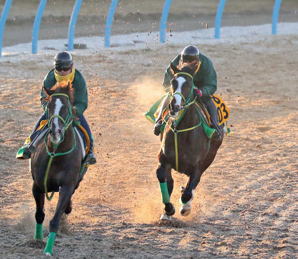【東京新聞杯】シャドウディーヴァ、馬なりも切れて1馬身先着　陣営「状態としては万全」