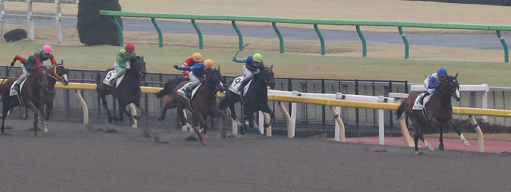 ＜東京4R新馬戦＞レースを制したアキノスマート（右端）（撮影・郡司　修）