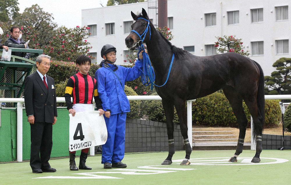 【京都新馬戦】バイエルン鼻差V!川須「いい条件がそろっていました」