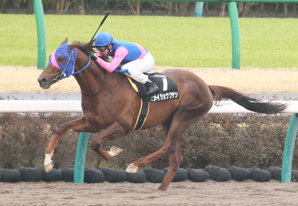 【総武S】ワザシ　逃げ切り5勝目!武豊「最後もいい脚を使えた」