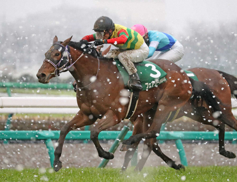 【画像・写真】【中山牝馬S】フェアリー、直線一気で重賞初V！和田は2年ぶりの重賞制覇