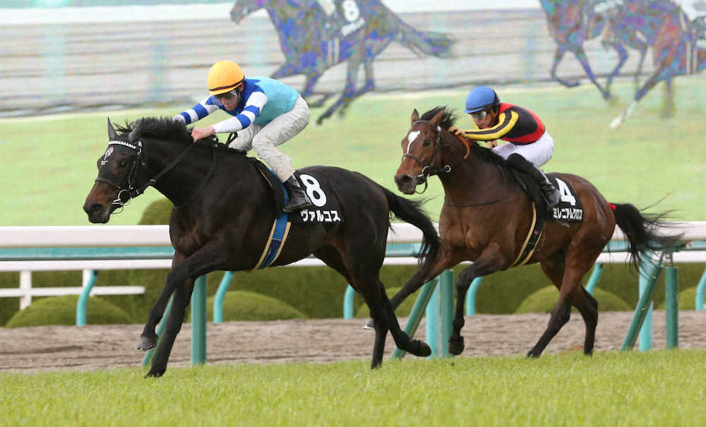 【ゆきやなぎ賞】大魔神所有ヴァルコス快勝　シュタルケ「直線長い競馬場が合っている」