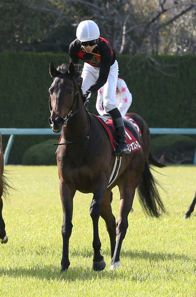 【フィリーズR】1番人気カリオストロは粘れず4着　松山「逃げ馬には厳しい条件」