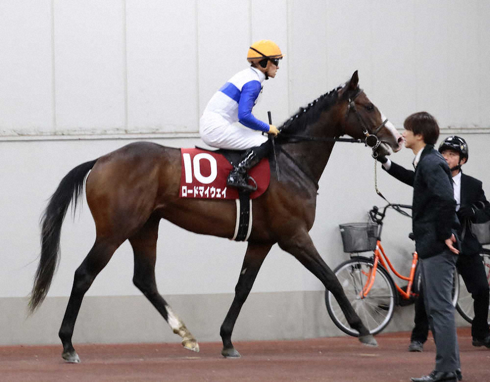 【金鯱賞】10着ロードマイウェイ　スローに泣いた「展開向かず残念な競馬に」