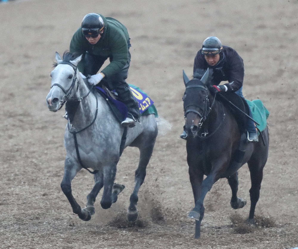 【高松宮記念1週前追い】ノームコア順調　3馬身差を併入