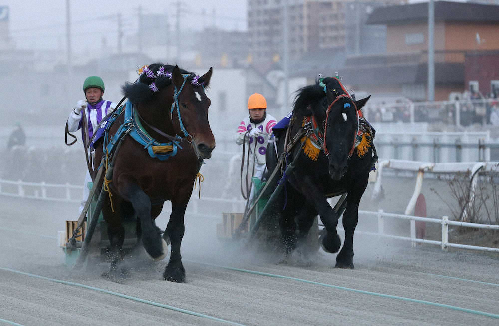 【ばんえい記念】マサル連勝31で止まった…オレノココロの3着