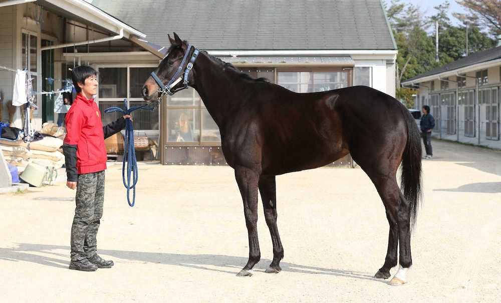 【高松宮記念】アイラブテーラー70点　体小さく目つき幼い