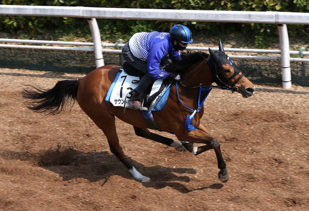 【阪神牝馬S】キアラ　荒れた馬場でも軽快12秒3　松山「落ち着いていた」