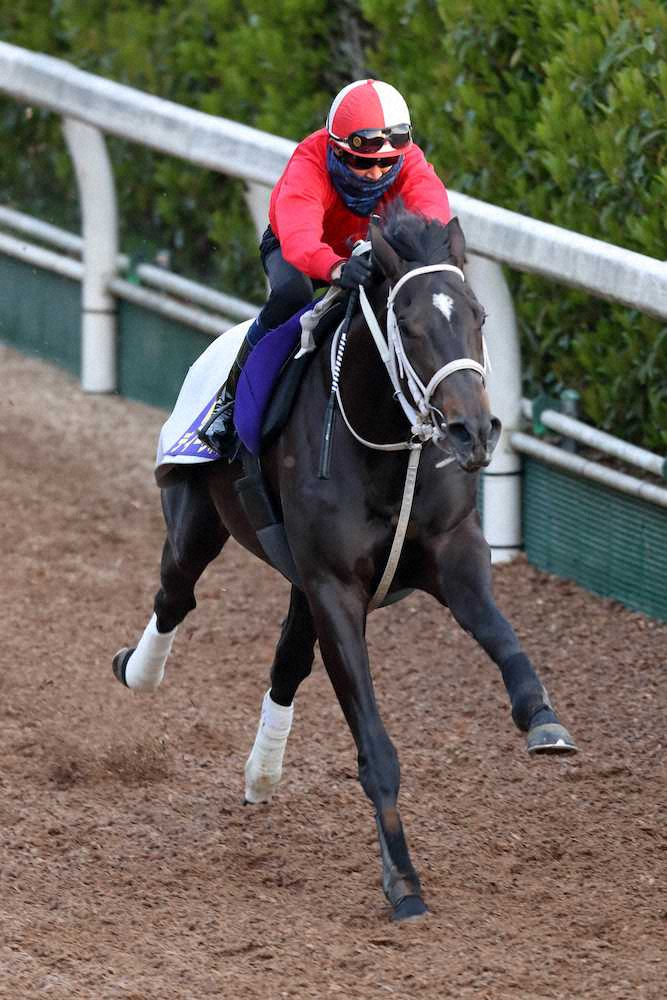 【皐月賞】ディープボンド、上積みに手応え　大久保師「良くなってくるでしょう」