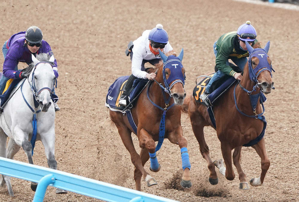 【フローラS】人馬重賞初Vへ踊るマリリン！横山武「素軽さがあった」