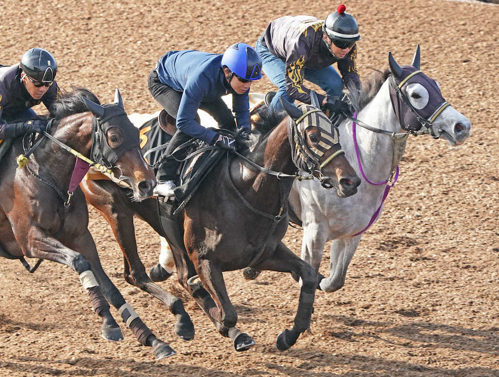 【フローラS】ショウナンハレルヤ、3頭併せで先着　矢野師「スムーズな競馬ができれば」