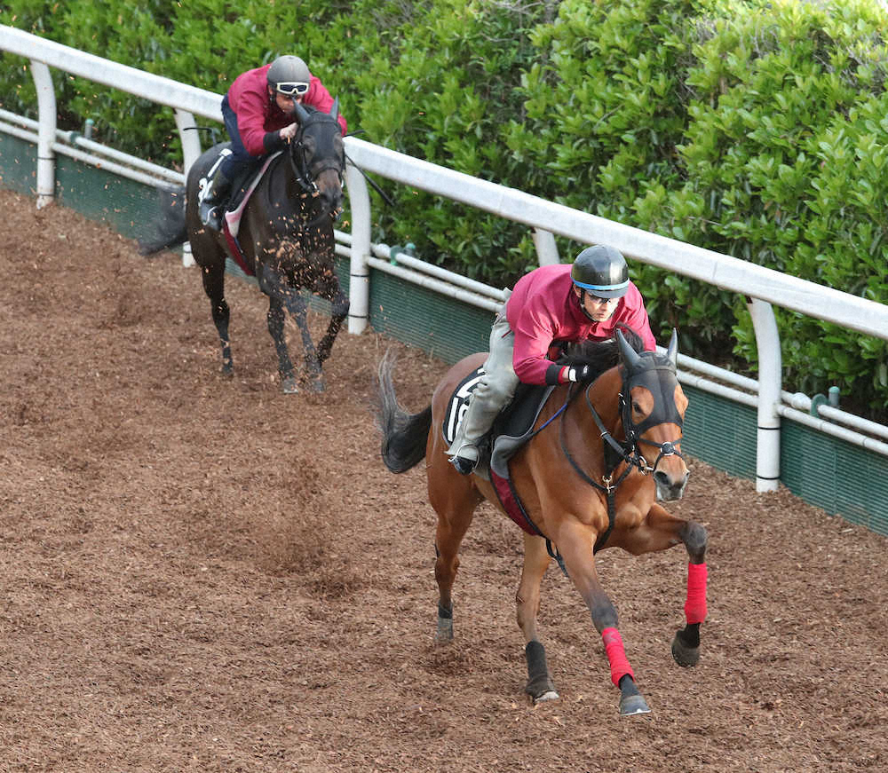 【フローラS】好気配の松永幹勢2頭一発あるぞ！