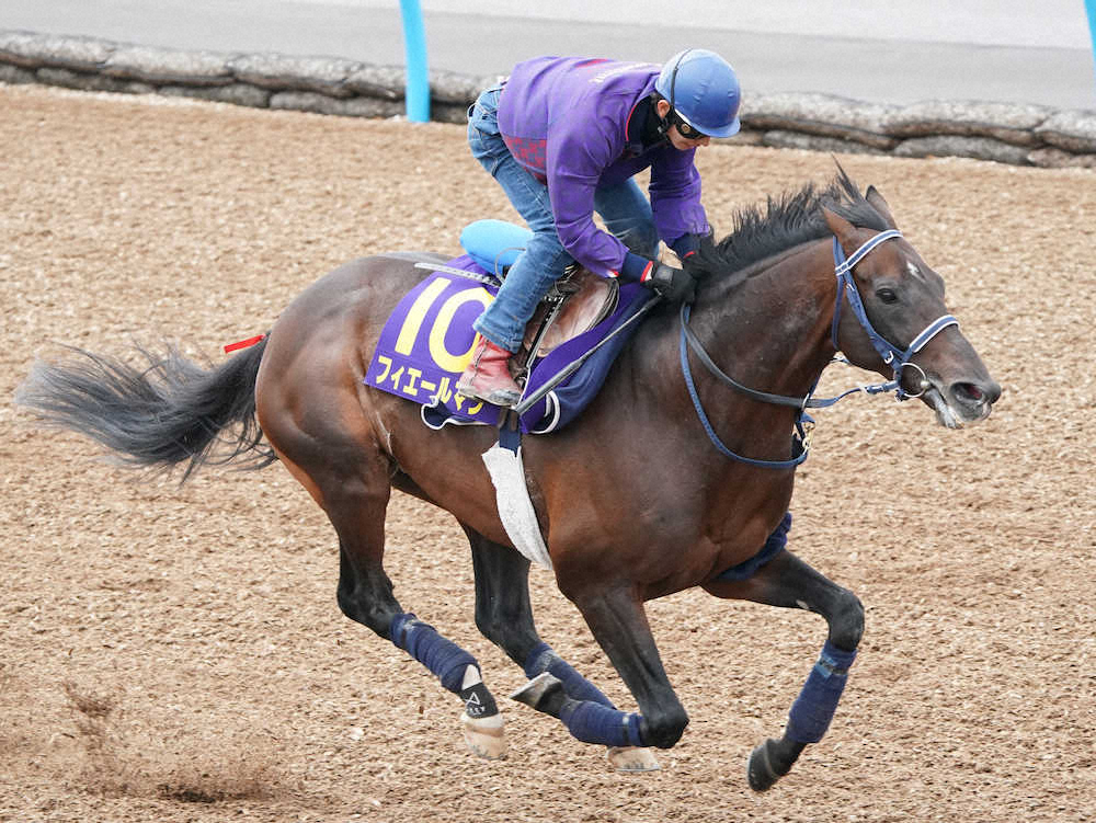 【天皇賞・春1週前追い】フィエール“瞬間移動”3馬身先着　仕上がりも万全