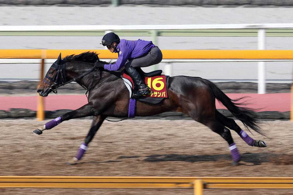 【ヴィクトリアM】ビーチサンバ、シャープに加速　友道師も満足