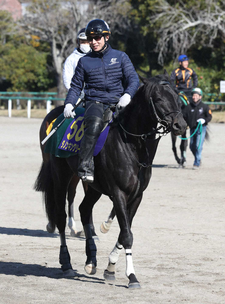 【画像・写真】【安田記念】戸崎　相棒キングリーと“完全復活”だ!落馬負傷から半年ぶりG1参戦「凄く幸せ」