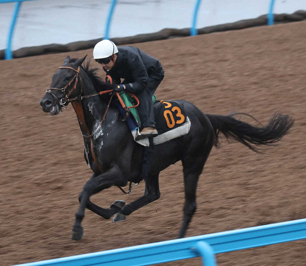 【ラジオNIKKEI賞】トゥジュール名門復権GO砲！34年ぶり福島重賞Vへ余力十分12秒7