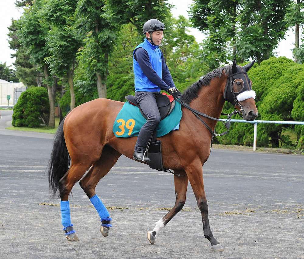 【函館新馬戦】ロジモーリス、ルメールがメンタル面を称賛「5歳馬みたい」