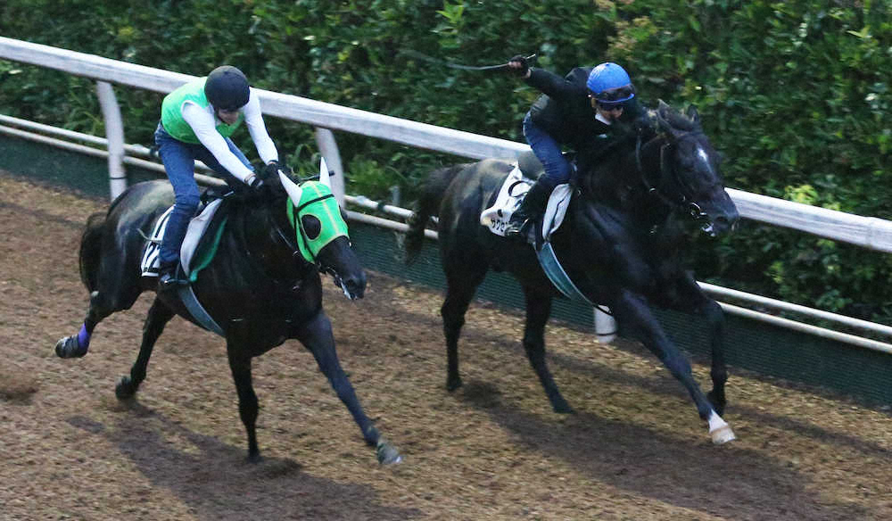 和田騎手を背に坂路にて併せ馬で追い切るサクセスエナジー（右）（撮影・亀井　直樹）
