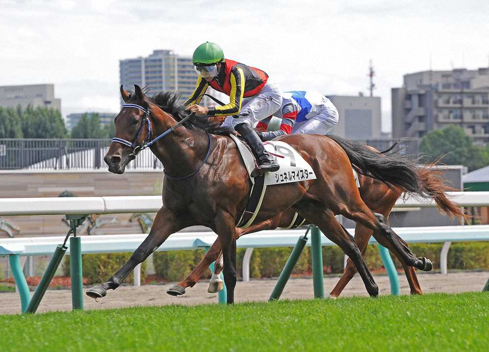【札幌新馬戦】シュネルマイスター1番人気に応える　横山武「いい馬です」