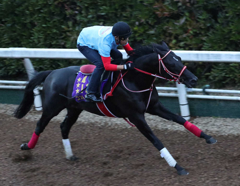 【神戸新聞杯】2冠馬コントレイルは1枠2番