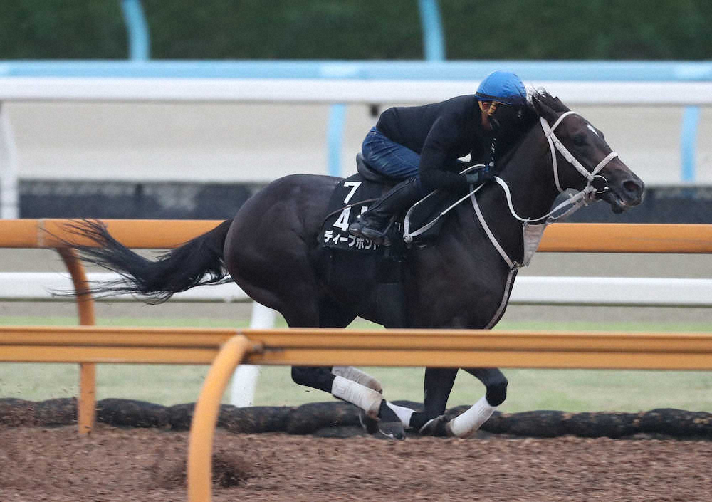 【神戸新聞杯】ディープボンド、馬なりで12秒4　和田竜「変わらずいい動き」