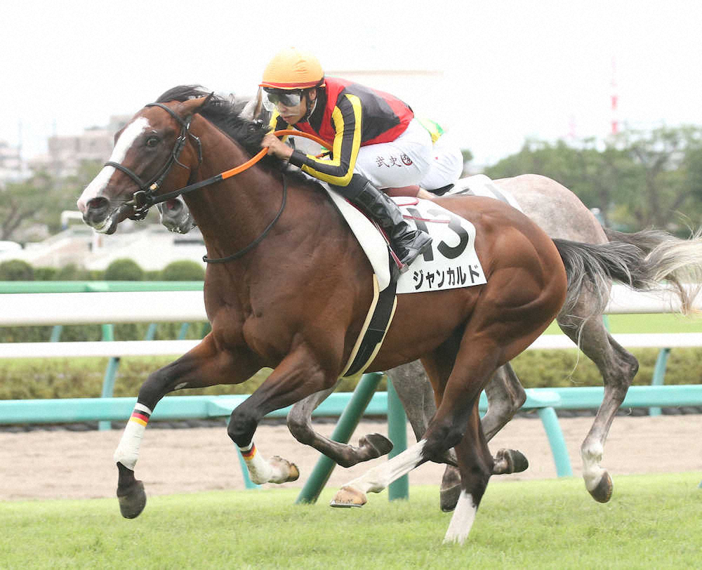 【中山新馬戦】ジャンカルド快勝!横山武「いい感じでハマってくれた」