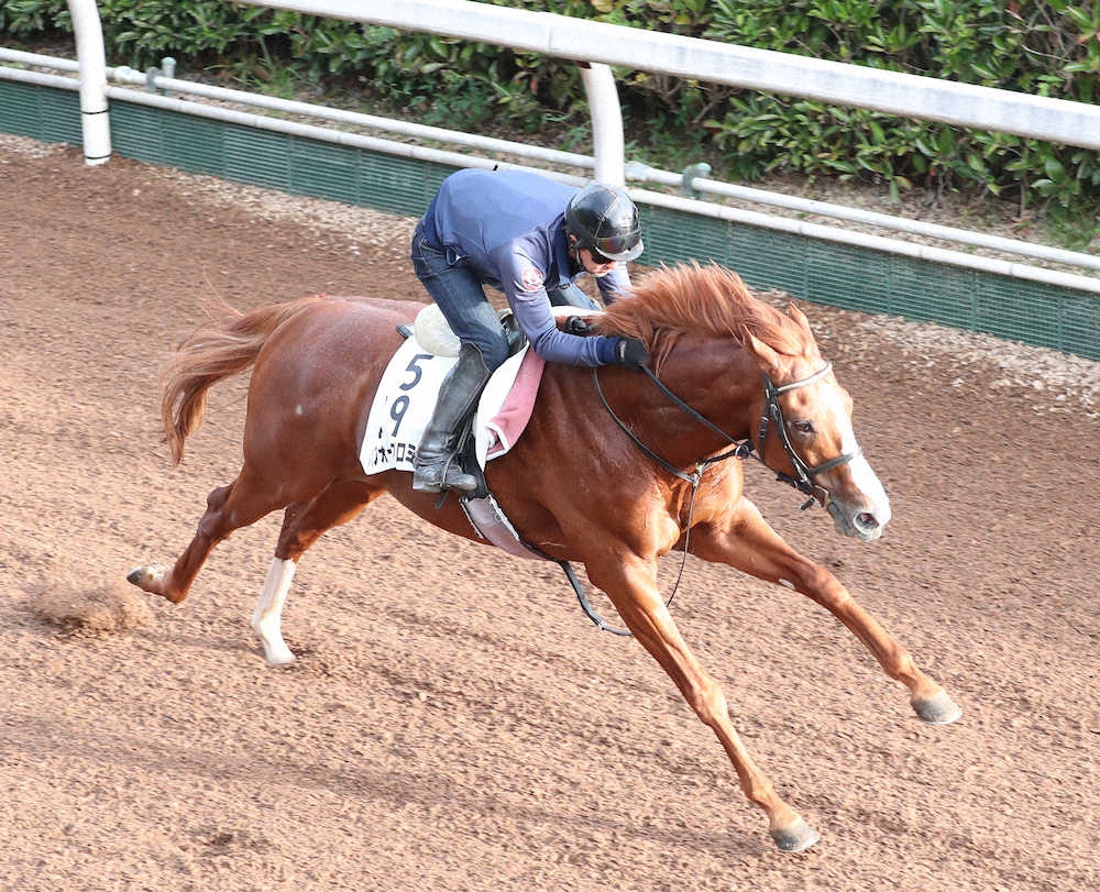 【京都大賞典】パフォーマプロミス　馬なり4F54秒3　フレッシュ8歳「いつものパターン」