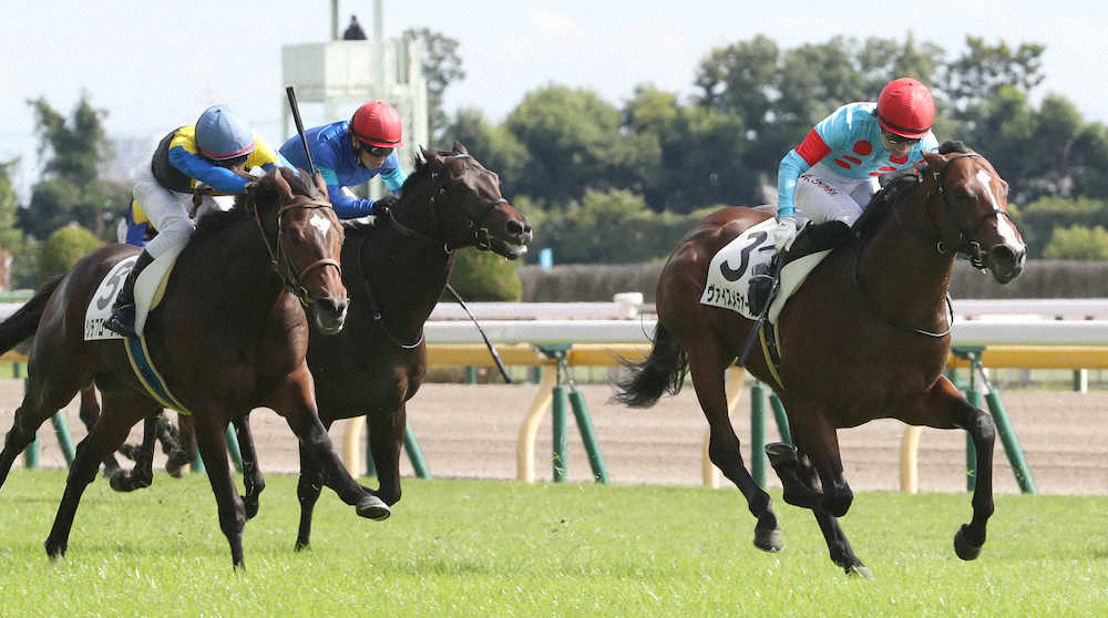 【東京新馬戦】ヴァイスメテオールがデビューV　丸山称賛「イメージ通りの馬」