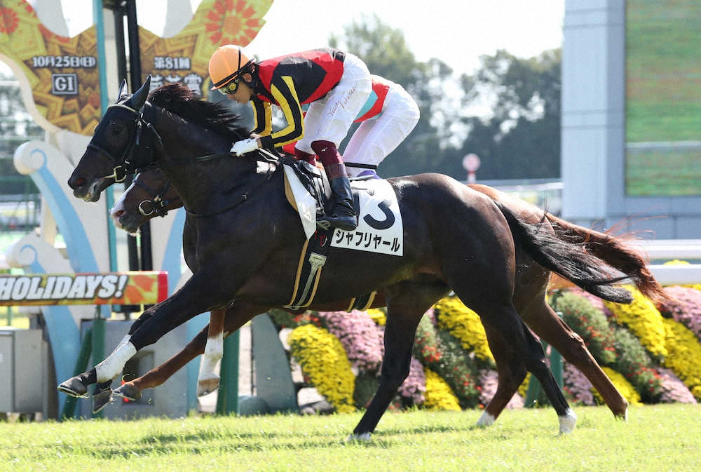 【京都新馬戦】シャフリヤール　鋭伸V!福永は将来性に太鼓判「期待通り」