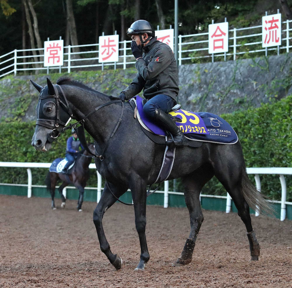 【天皇賞・秋】クロノジェネシス、春よりドシッと　斉藤崇師が淡々と「順調ですよ」