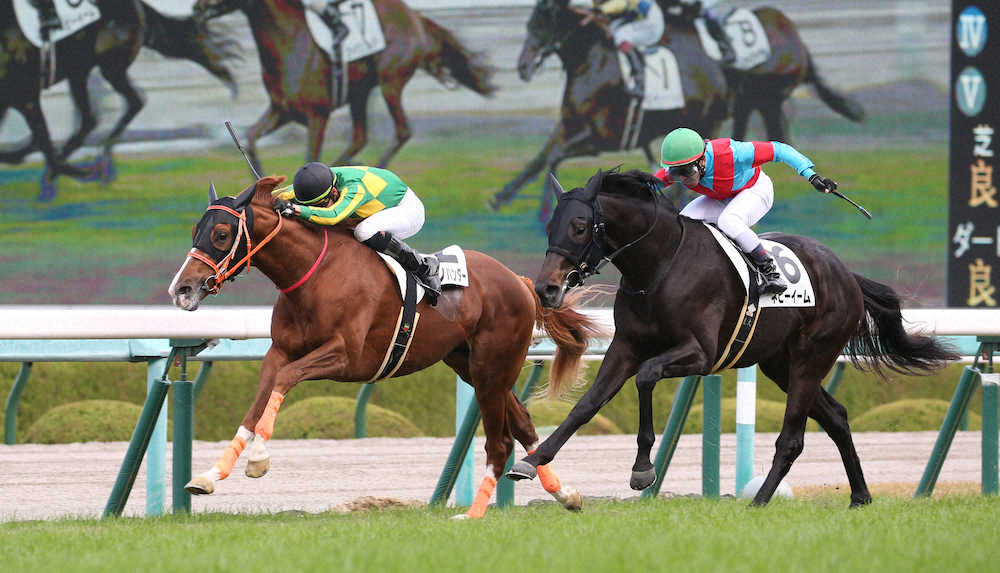 ＜阪神5R・2歳新馬＞ゴール前の叩き合いを制し勝利するサトノハンター（左）（撮影・亀井　直樹）