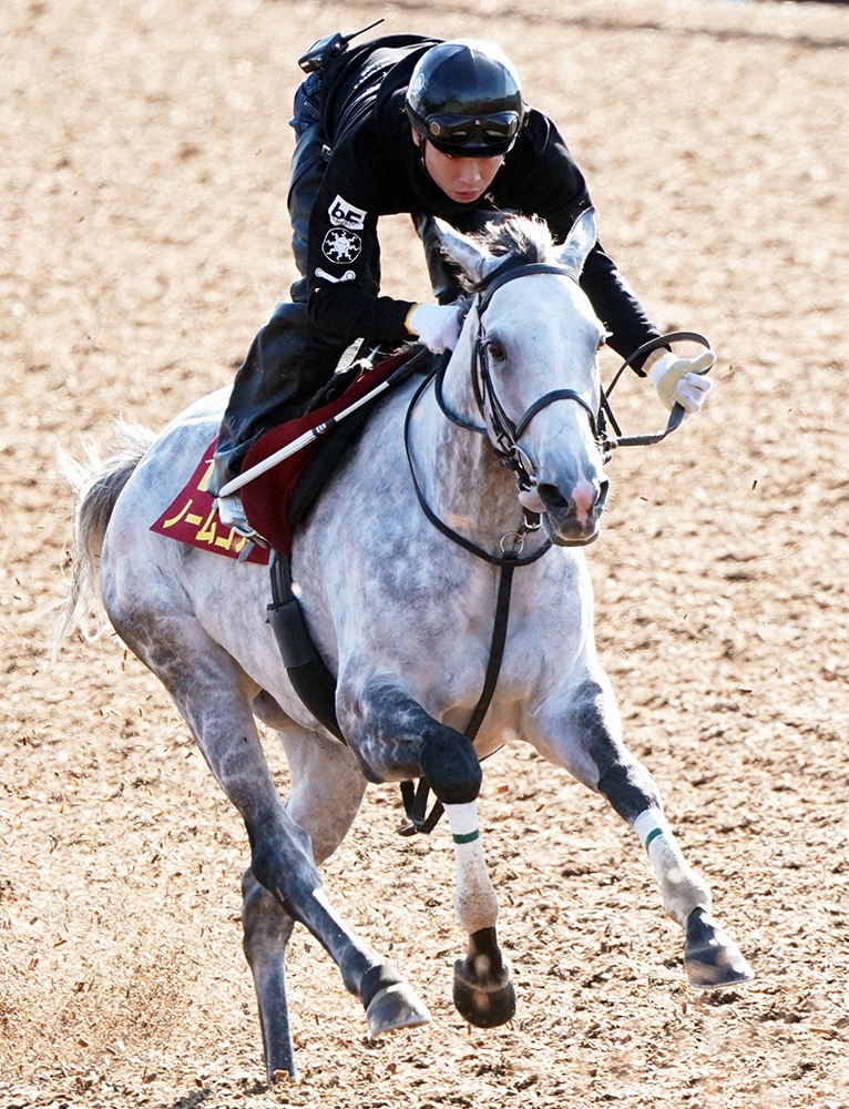 【香港カップ】ノームコアが優勝、日本馬は昨年のウインブライトに続き連覇