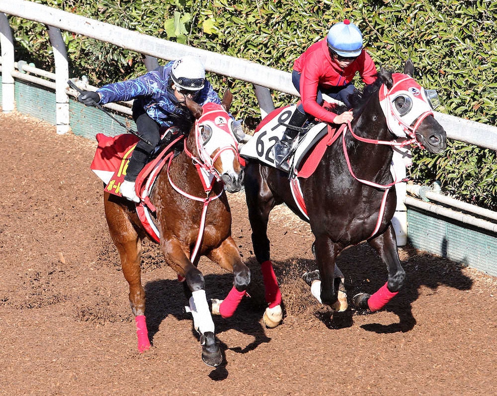 藤岡佑介騎手を背に坂路で併せ馬で追い切るポールネイロン（左）