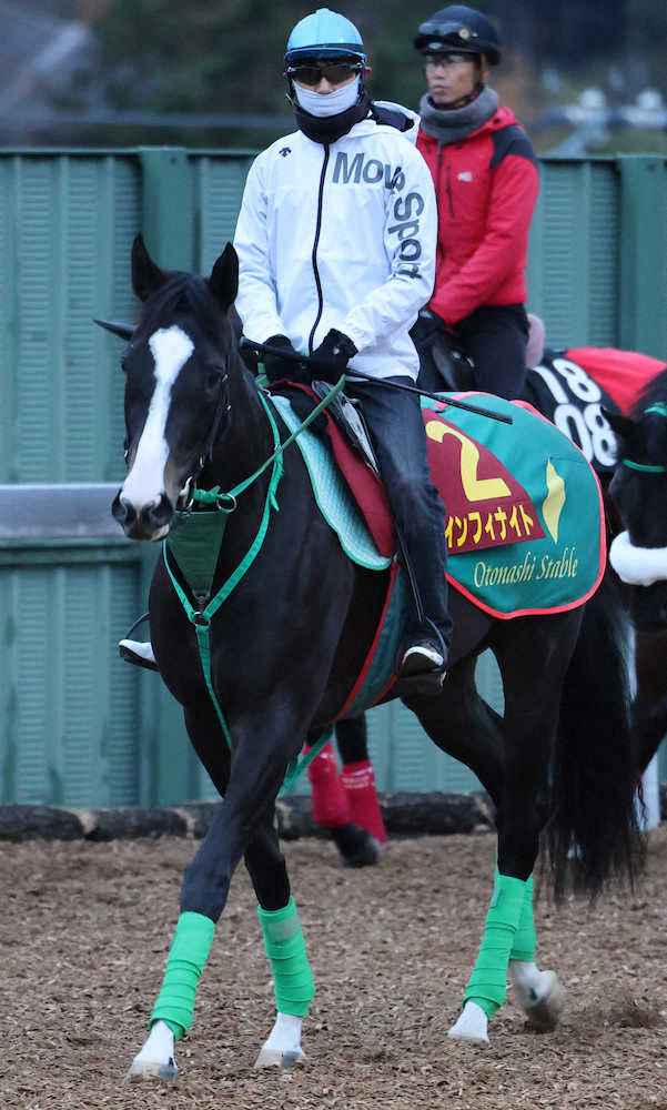 【阪神JF】新種牡馬モーリス　獲得賞金はディープに次ぐ2位と大活躍