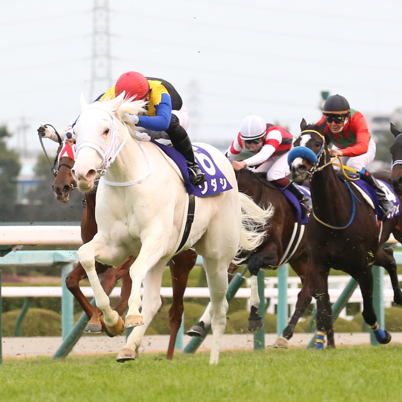 13日阪神競馬場で予想10レース中、馬連は傾斜買い7本をゲット