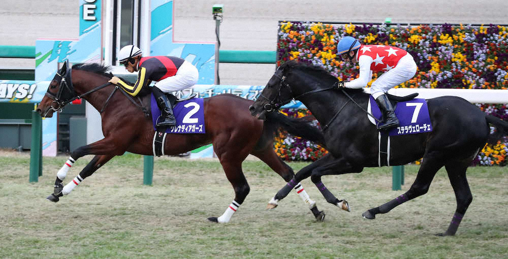 ＜阪神競馬　11R朝日杯FS＞ステラヴェローチェに3/4馬身差をつけ朝日杯FSを制したグレナディアガーズ（左）　（撮影・奥　調）