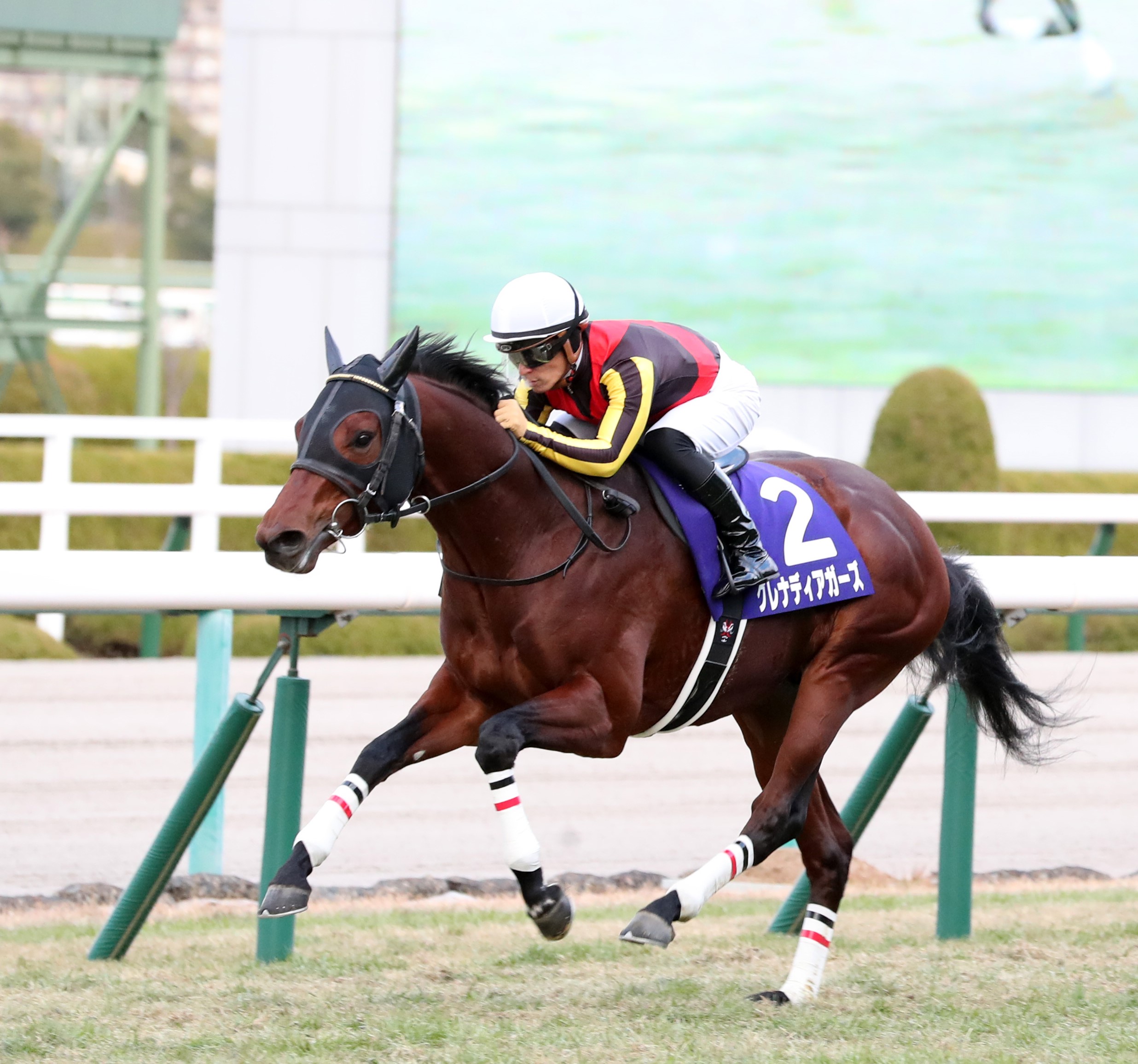 阪神競馬場　土日2日間で馬連10本的中！回収率は115.3%を記録