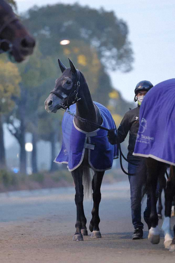 ＜有馬記念＞クロノジェネシスは厩舎周りを1時間、引き運動で調整された