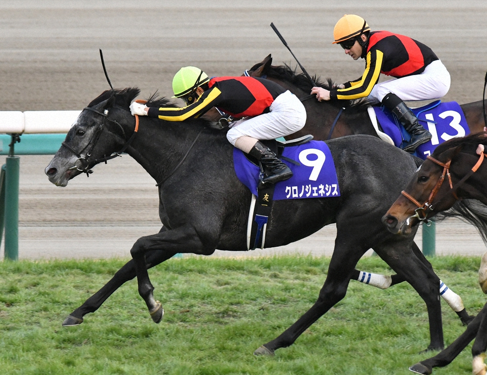 3月27日のドバイ国際競走にチュウワウィザード、クロノジェネシスなど日本馬58頭が登録